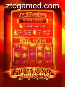FruitNovaSuper100